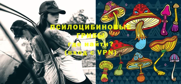 прущая мука Армянск