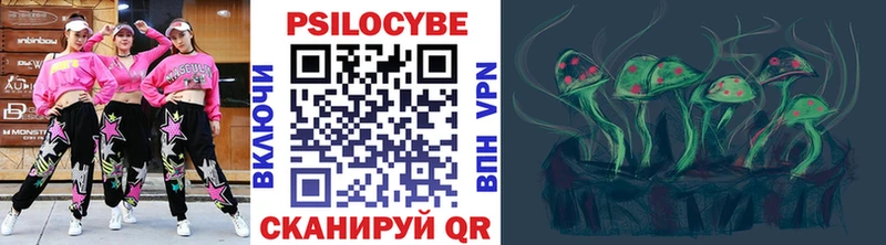 Псилоцибиновые грибы прущие грибы Старая Купавна
